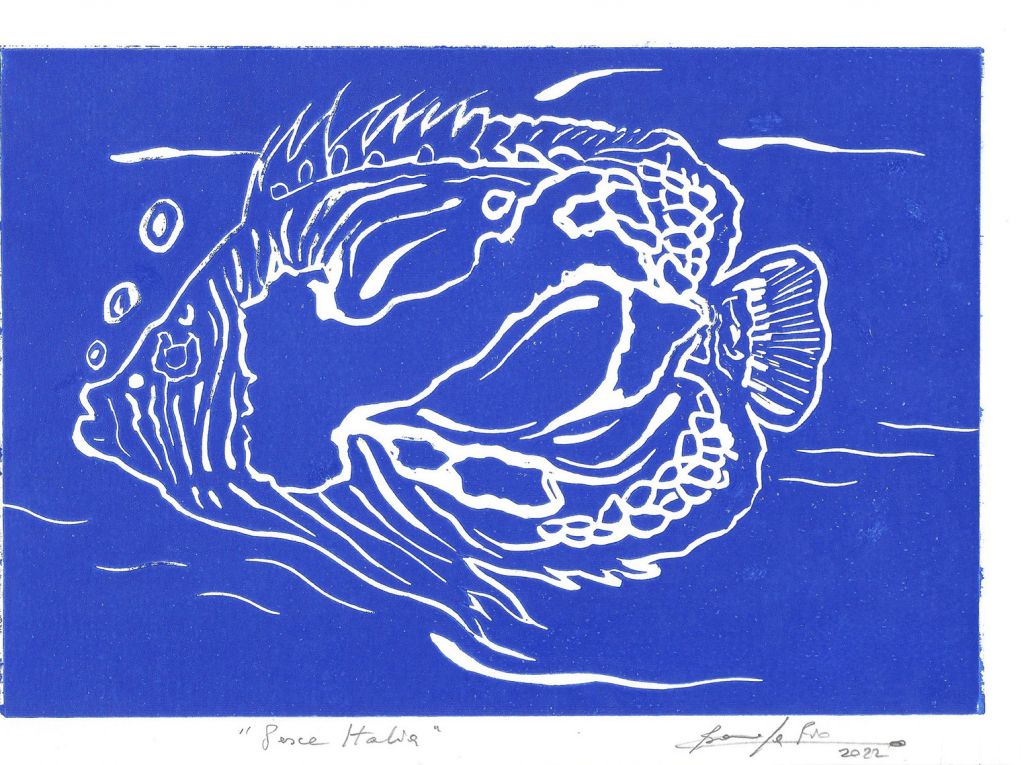 Acqueforti e Linoleografie di Barola